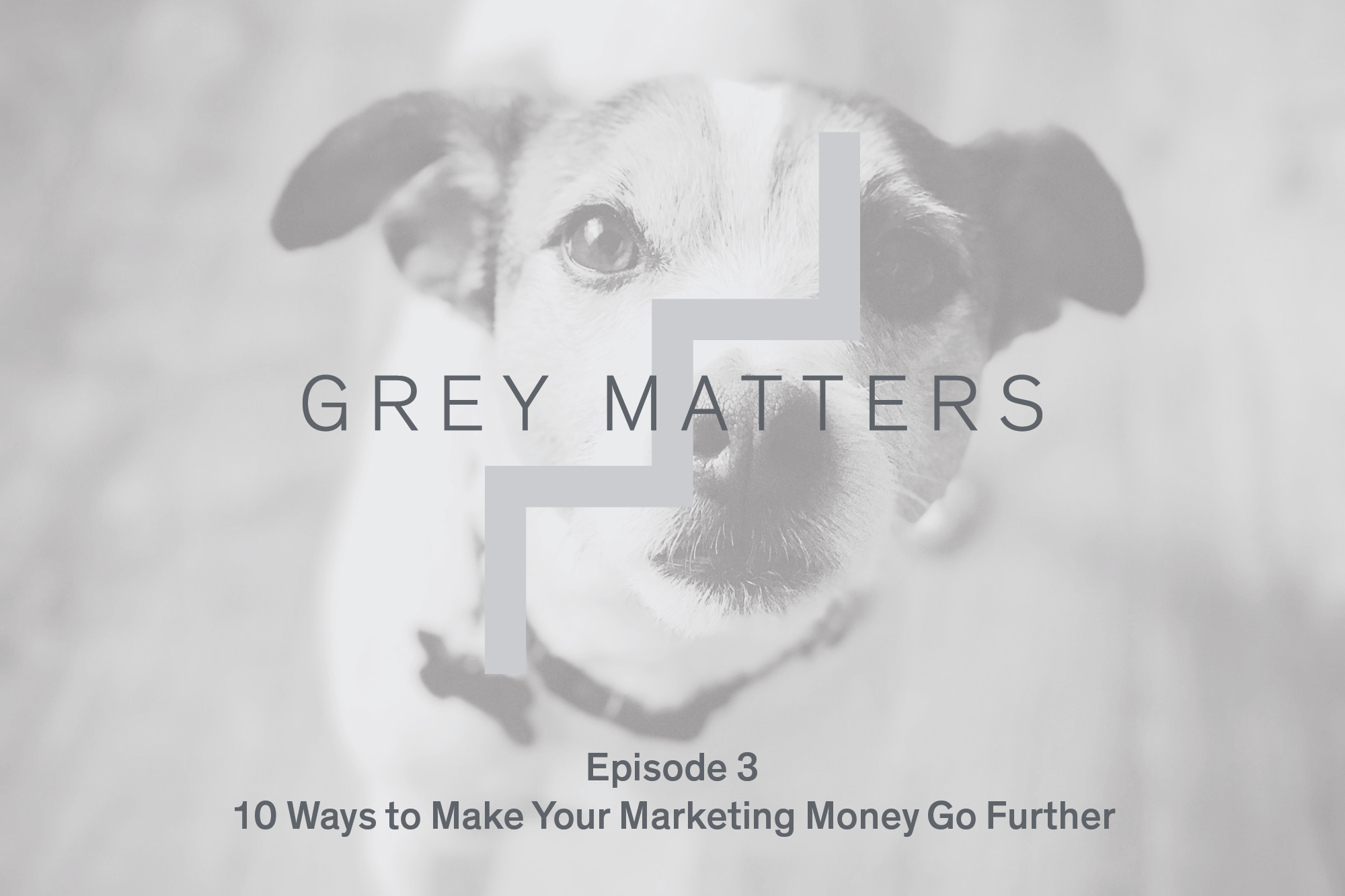 Grey Matters Podcast Ep3 2000X1333