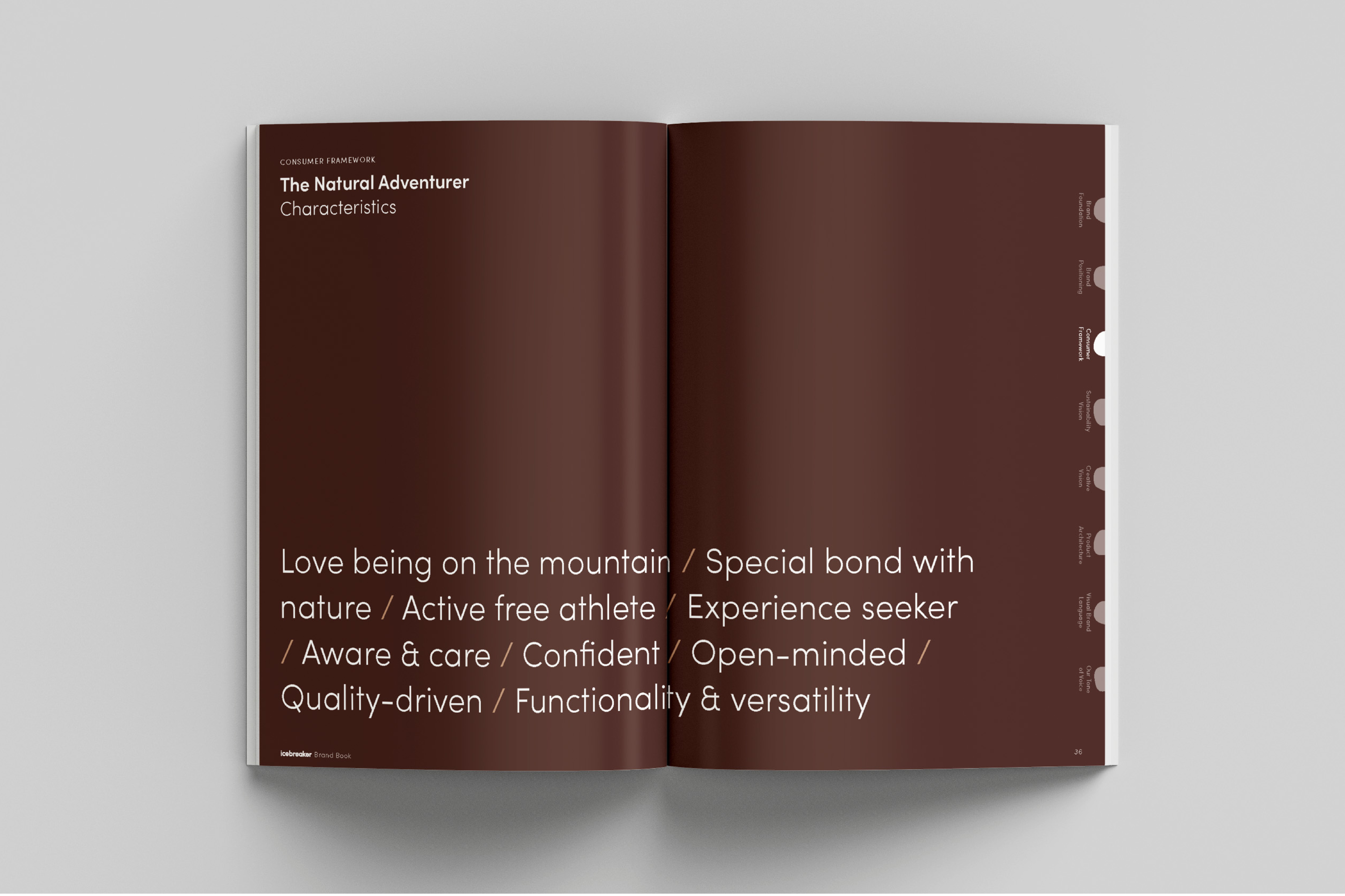 6924 RP Website 2000x1333 1000x1333 Ice Breaker Sustainability Report10