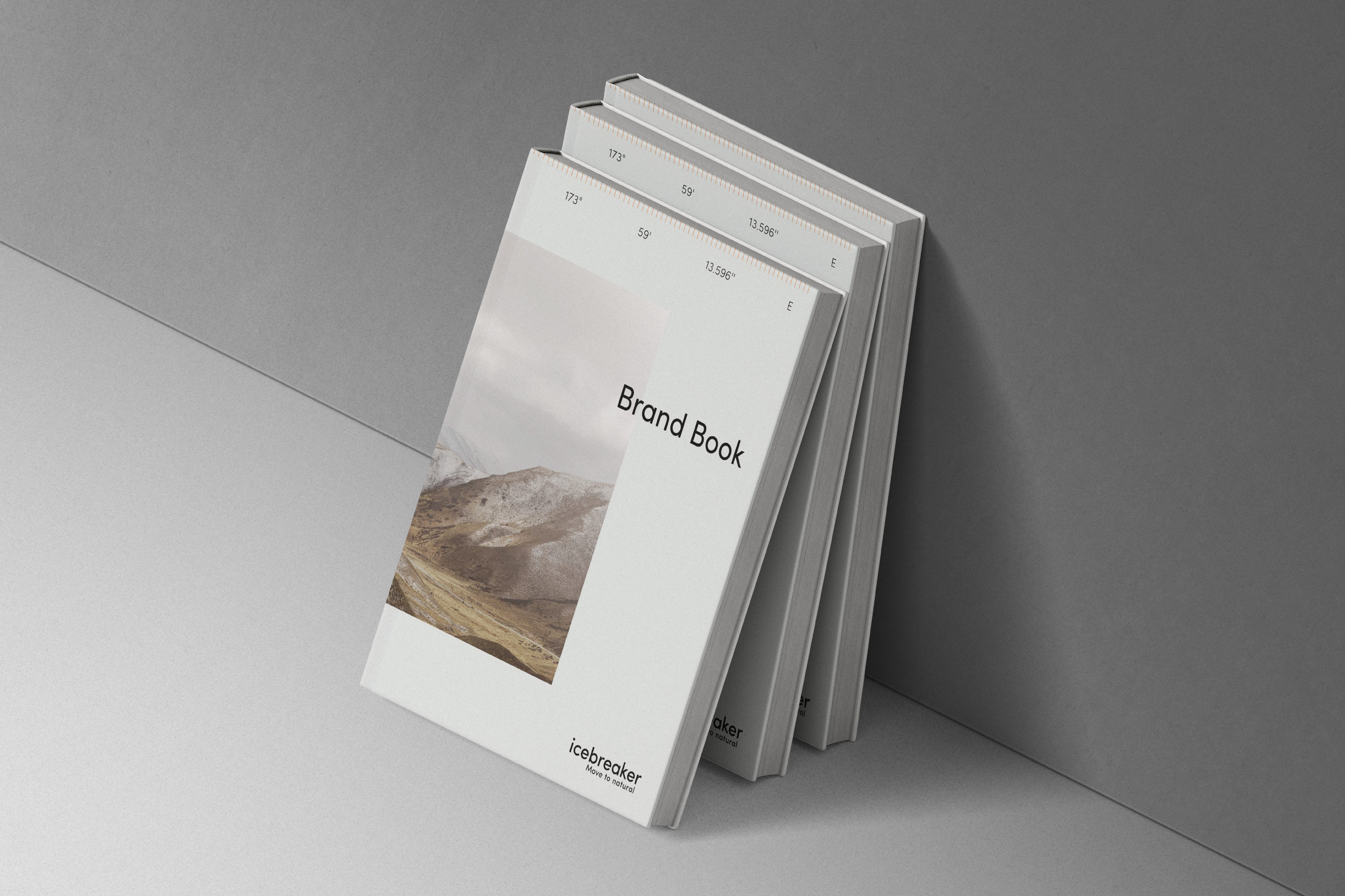 6924 RP Website 2000x1333 1000x1333 Ice Breaker Sustainability Report5
