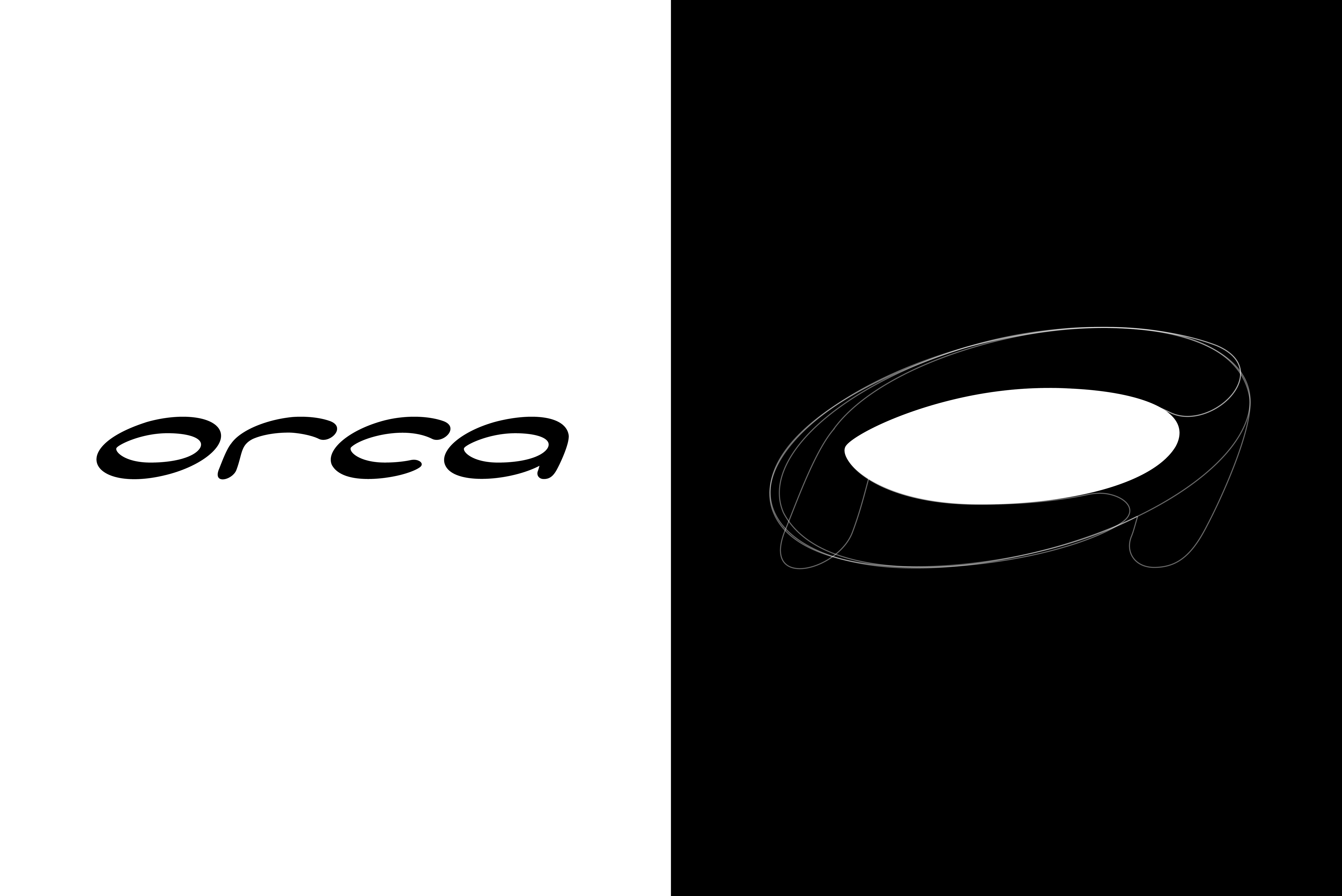 Orca Logo Process 2